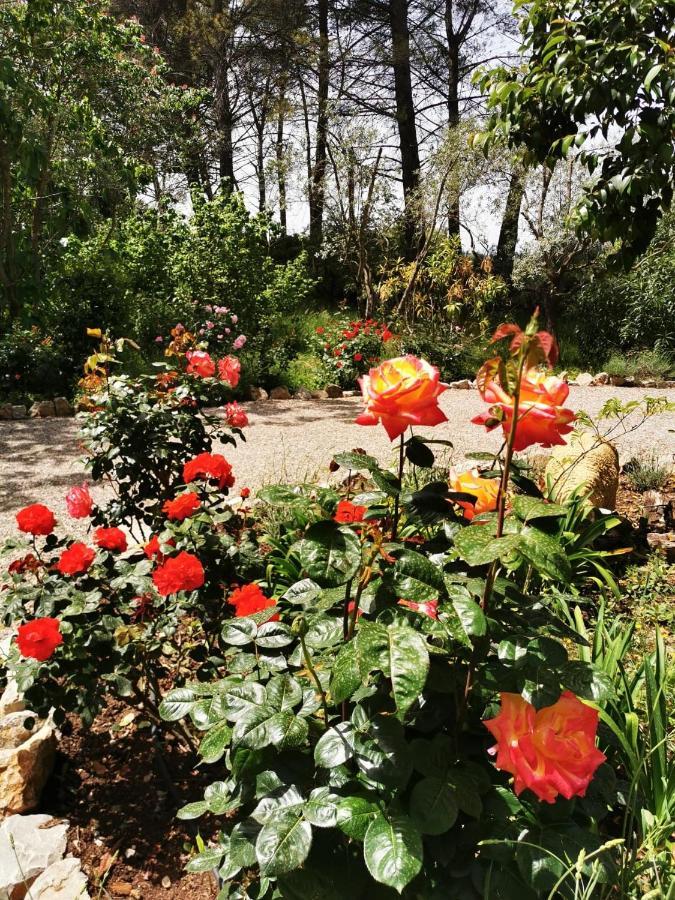 La Maison du Soleil Provence Draguignan Eksteriør billede
