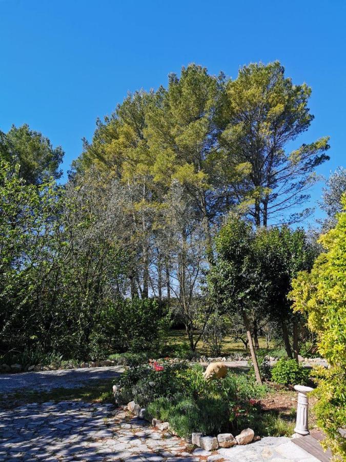 La Maison du Soleil Provence Draguignan Eksteriør billede